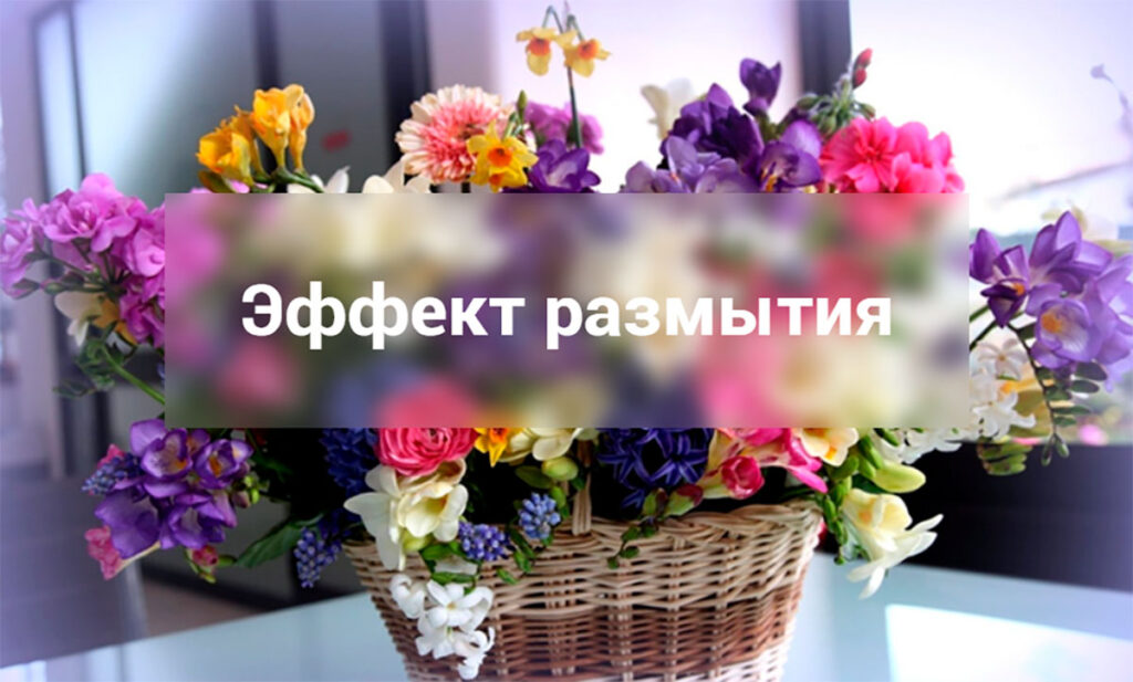 Красивый эффект размытия на CSS - Blur эффект