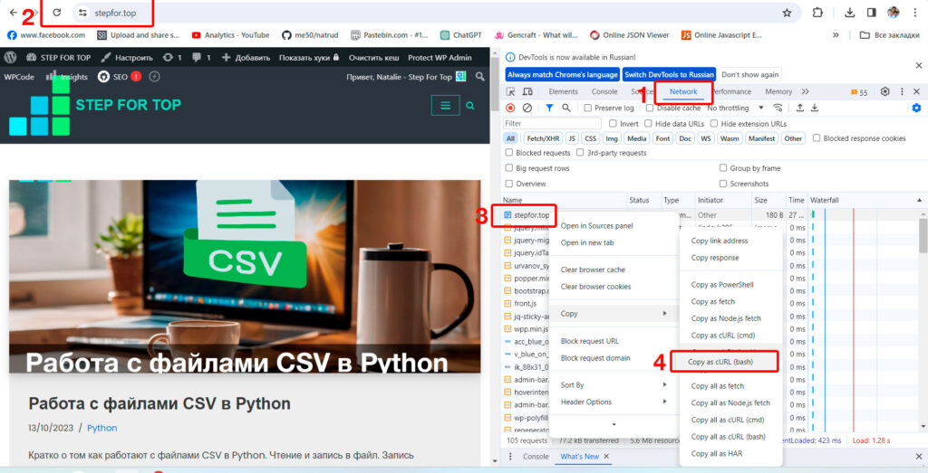 как скачать куки с сайта в файл json для работы в программах Python
